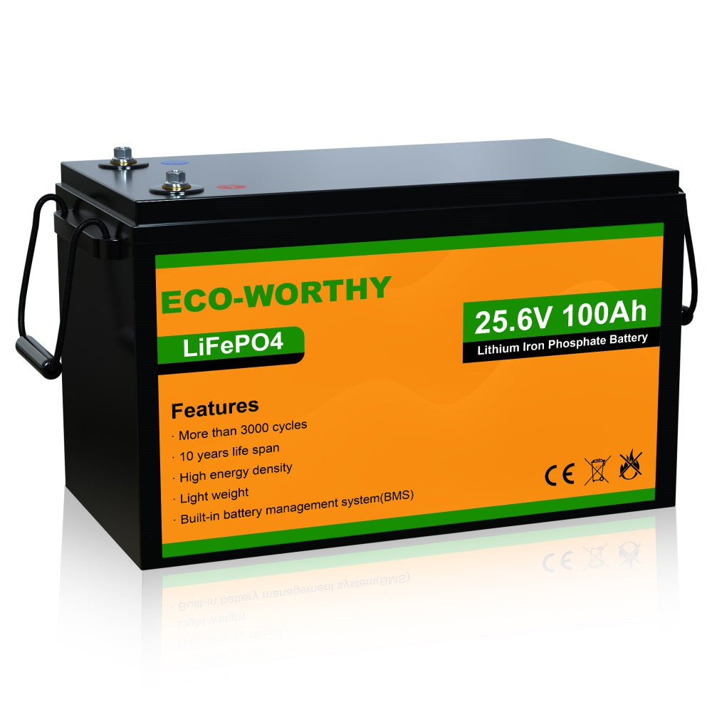 Eco-Worthy 24V 100Ah LiFePO4 Lithium Battery BMS 3000+Deep Cycles  Rechargeable 