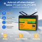 12V_100Ah_LiFePO4_Lithium_Battery-12