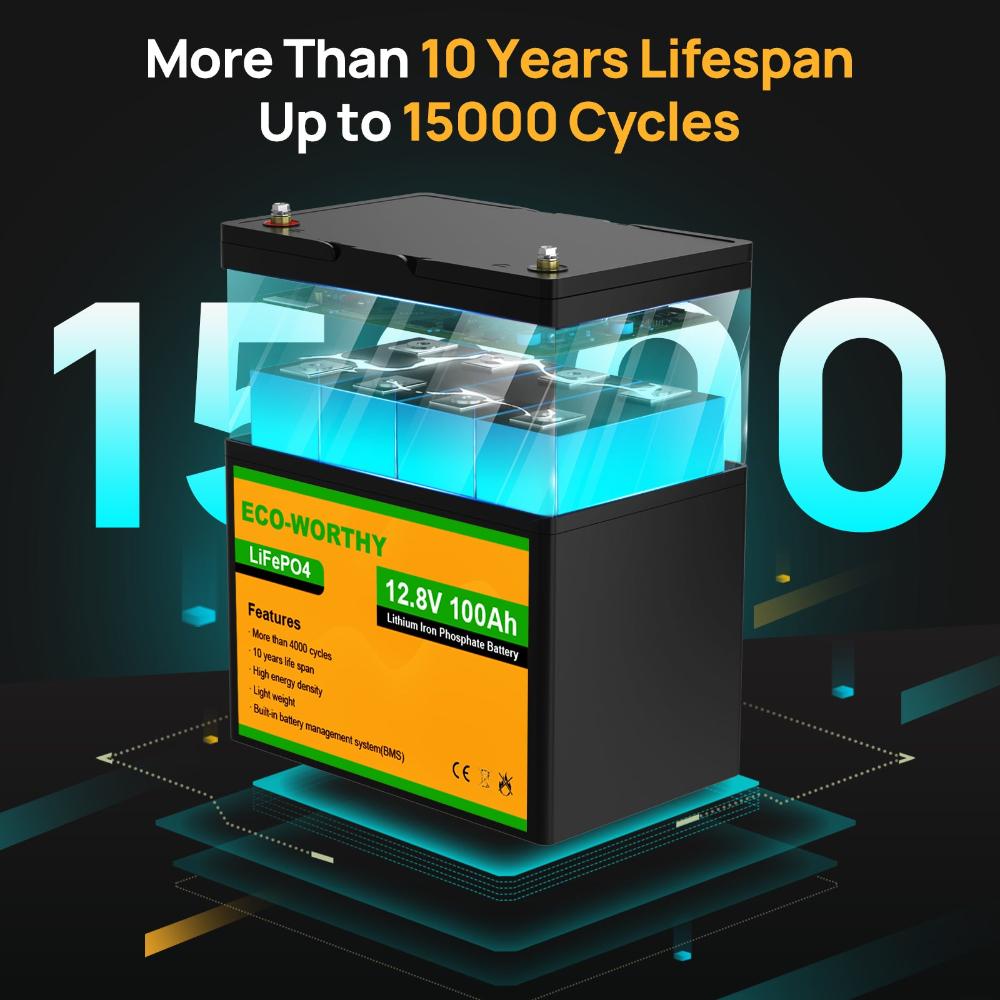 12V_100Ah_LiFePO4_Lithium_Battery-2