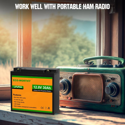 [Refurbished] 12V 30Ah LiFePO4 Lithium Battery - eco - worthy - uk
