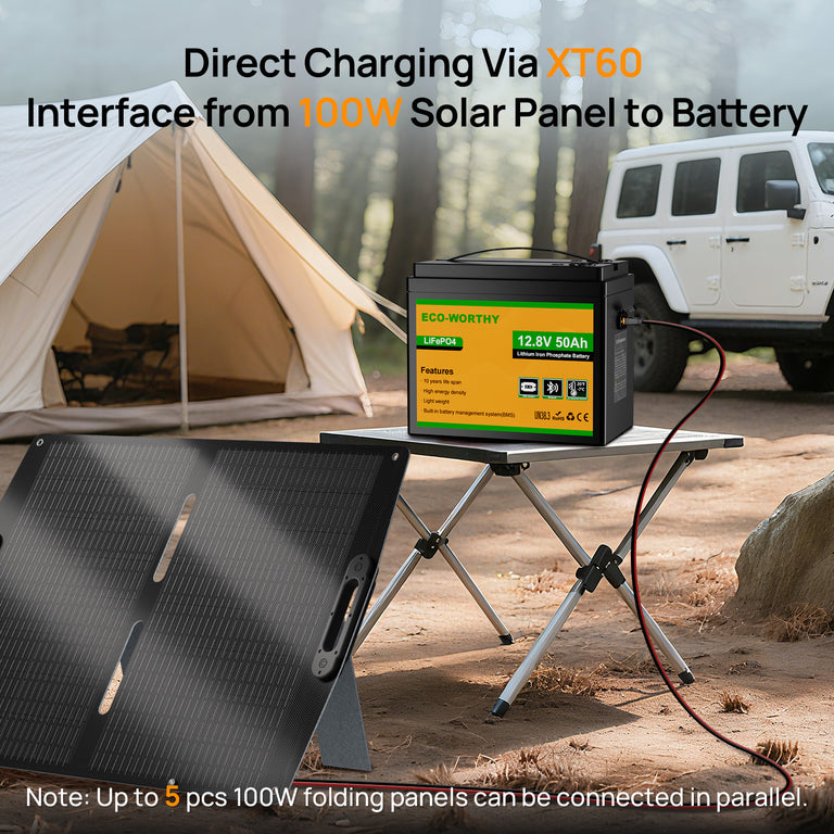 12V 50Ah LiFePO4 Lithium Battery XT60 with Bluetooth and Low Temp Protection - eco - worthy - uk