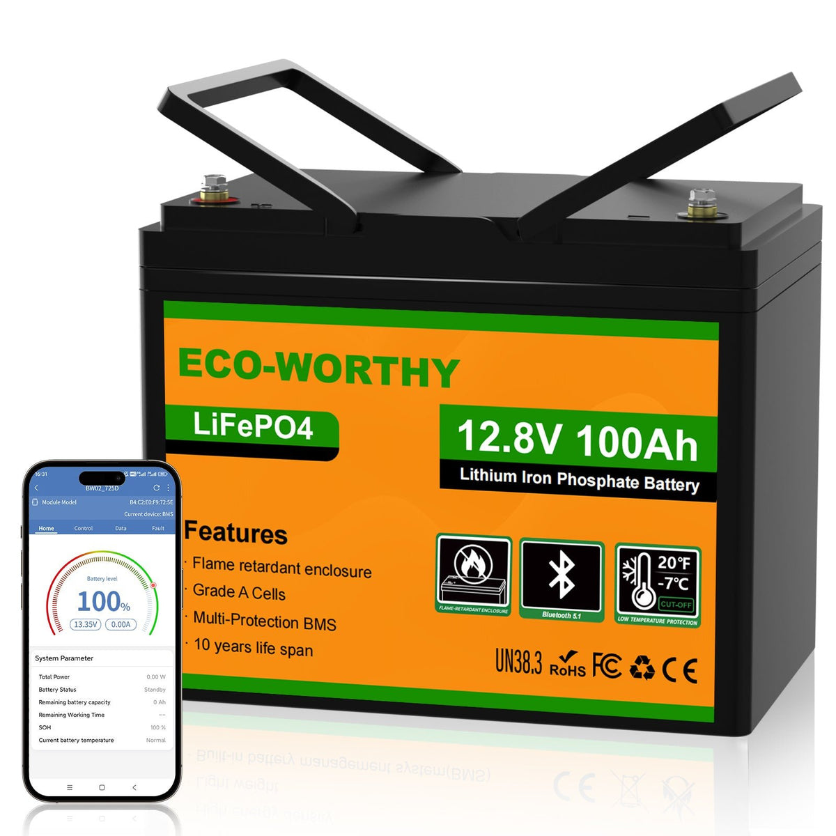LiFePO4 12V 100Ah Lithium Battery Bluetooth Low temperature Protection