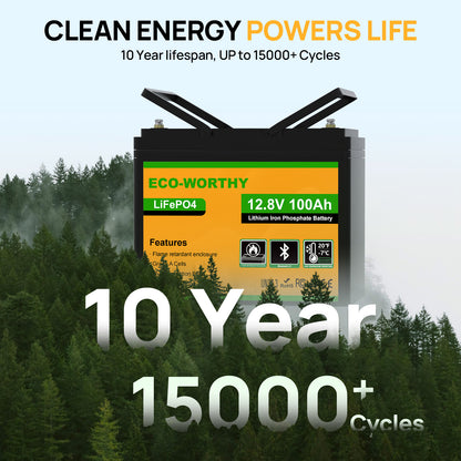 LiFePO4 12V 100Ah Lithium Battery With Bluetooth And Low - temperature Protection - eco - worthy - uk