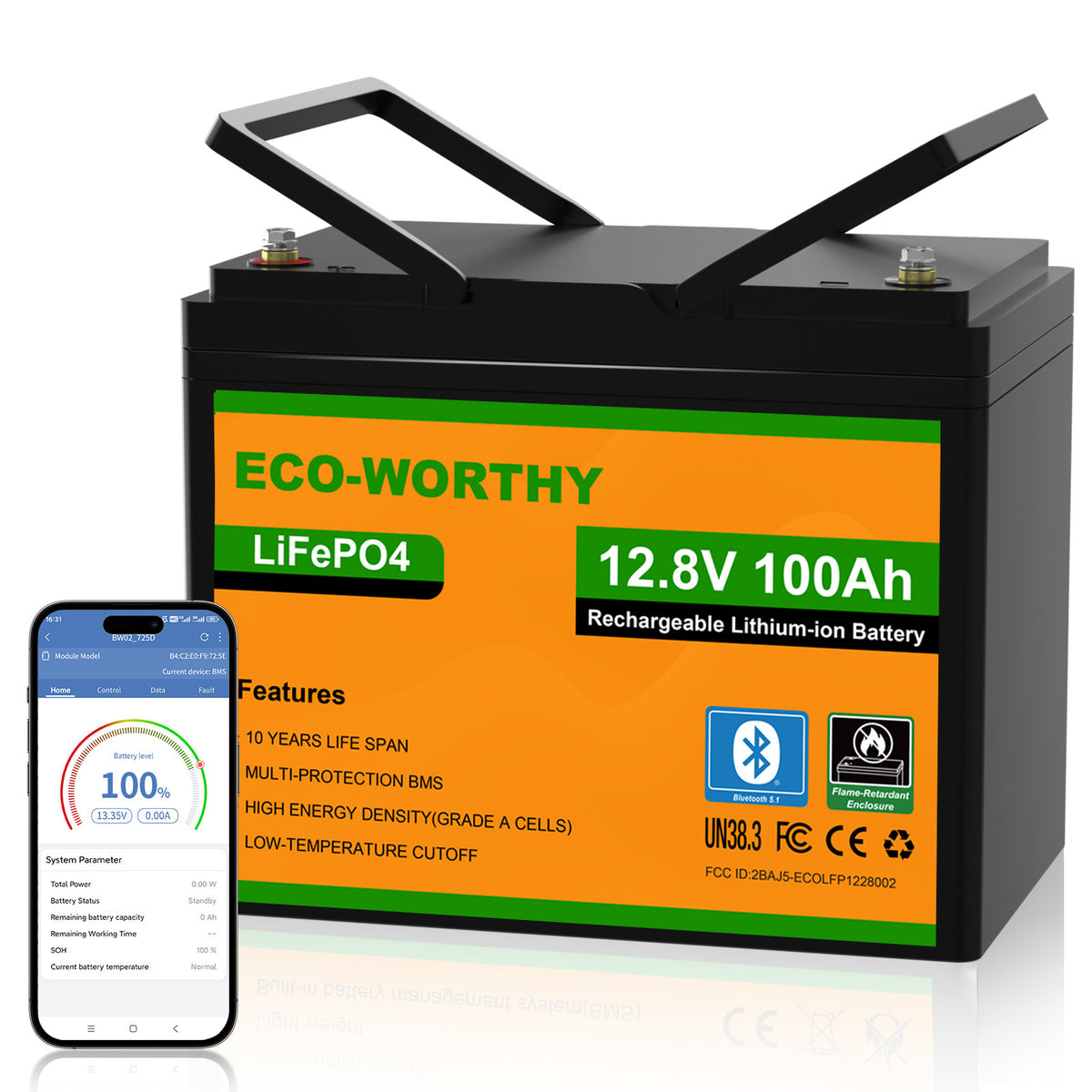 ECO-WORTHY LiFePO4 12V 100Ah Lithium Battery With Bluetooth And Low-temperature Protection - eco-worthy-uk