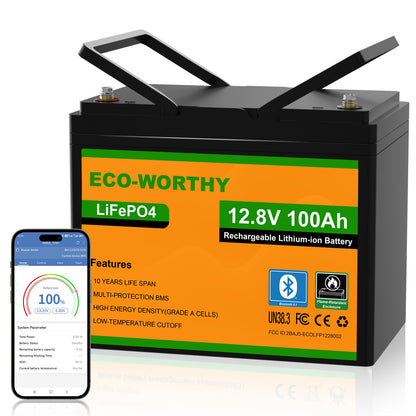 ECO-WORTHY LiFePO4 12V 100Ah Lithium Battery With Bluetooth And Low-temperature Protection - eco-worthy-uk