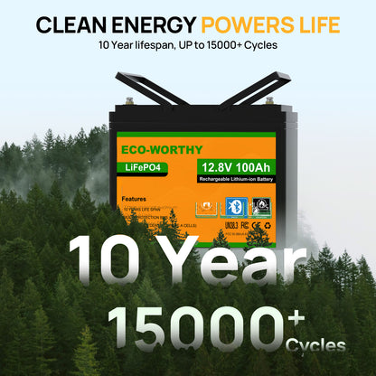 ECO-WORTHY LiFePO4 12V 100Ah Lithium Battery With Bluetooth And Low-temperature Protection - eco-worthy-uk