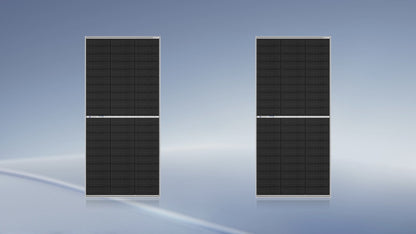 ECO-WORTHY 195W N-Type 18BB Bifacial Solar Panel with 25% High Conversion Efficiency