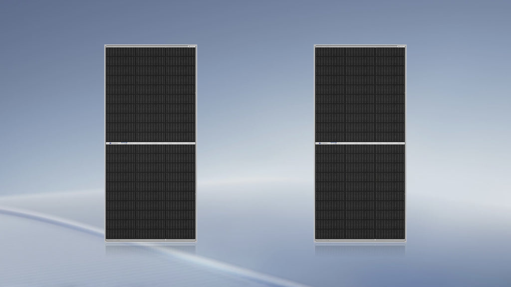 ECO-WORTHY 195W N-Type 18BB Bifacial Solar Panel with 25% High Conversion Efficiency
